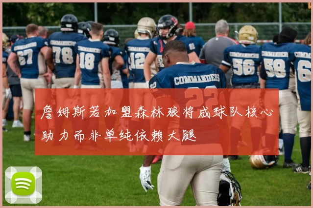 詹姆斯若加盟森林狼将成球队核心助力而非单纯依赖大腿